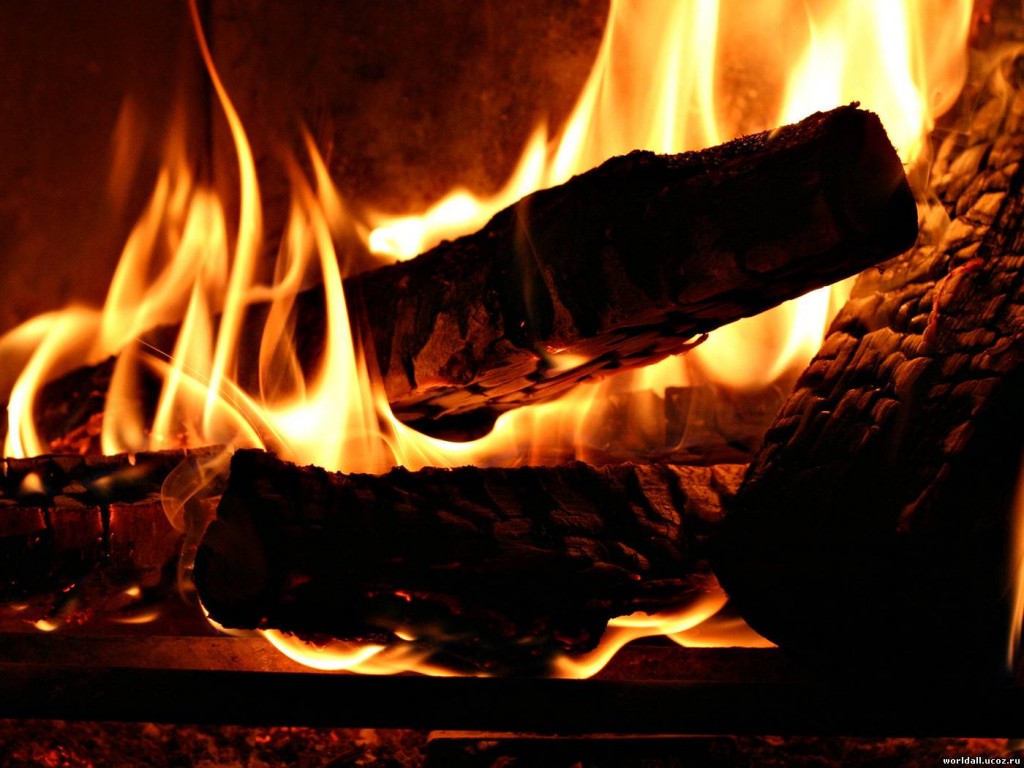 Какие дрова дают больше всего тепла