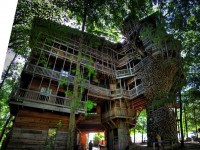 Многоэтажный дом на дереве
